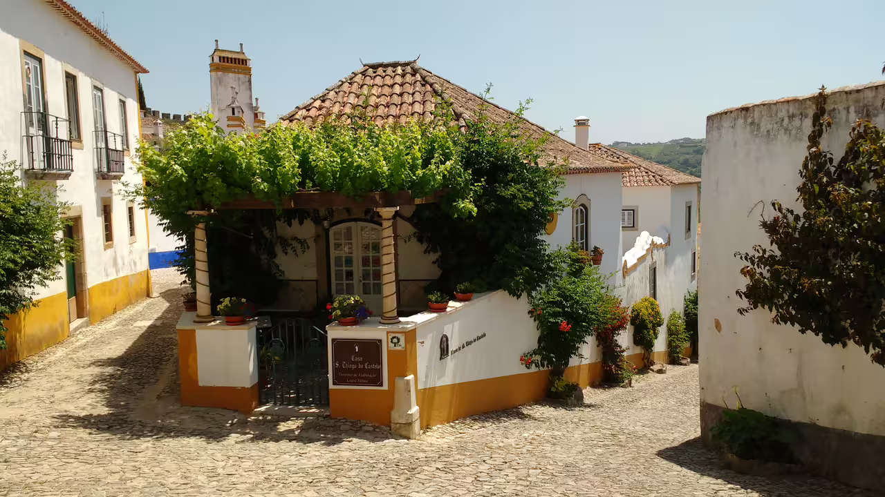 Charming cobblestone street in Obidos with traditional Portuguese architecture, lush greenery, ideal for cultural exploration tours.