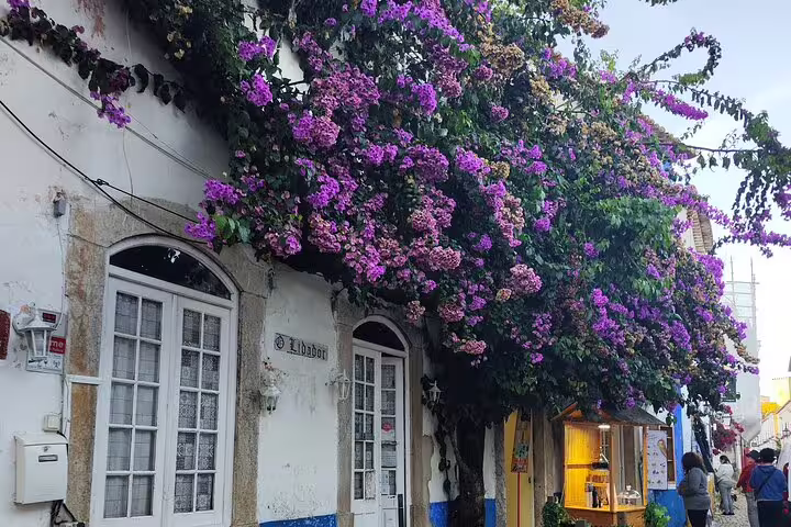 Charming street in Óbidos with vibrant bougainvillea cascading over traditional Portuguese architecture.