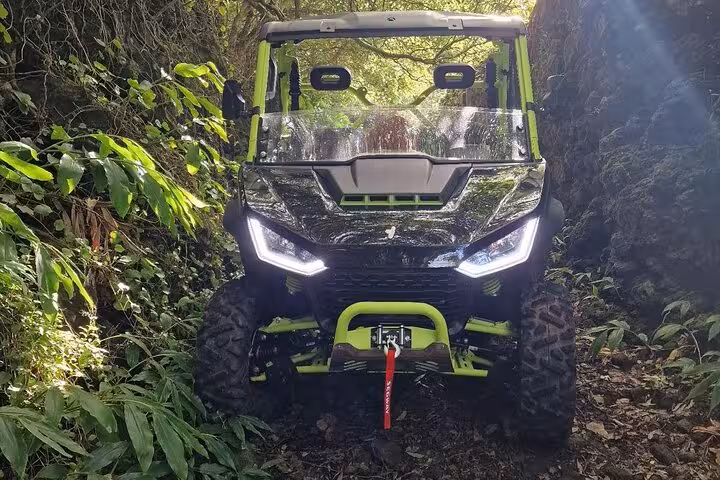 Front view of a powerful off-road buggy amidst dense foliage on Mount Pico, ideal for thrilling adventure tours.