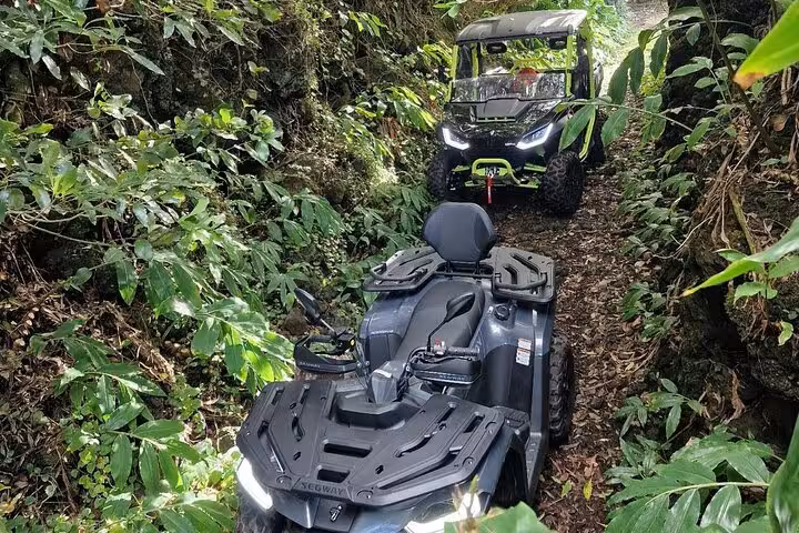 Off-road buggies navigate lush forest trails on an exciting adventure at Mount Pico, showcasing rugged terrain exploration.