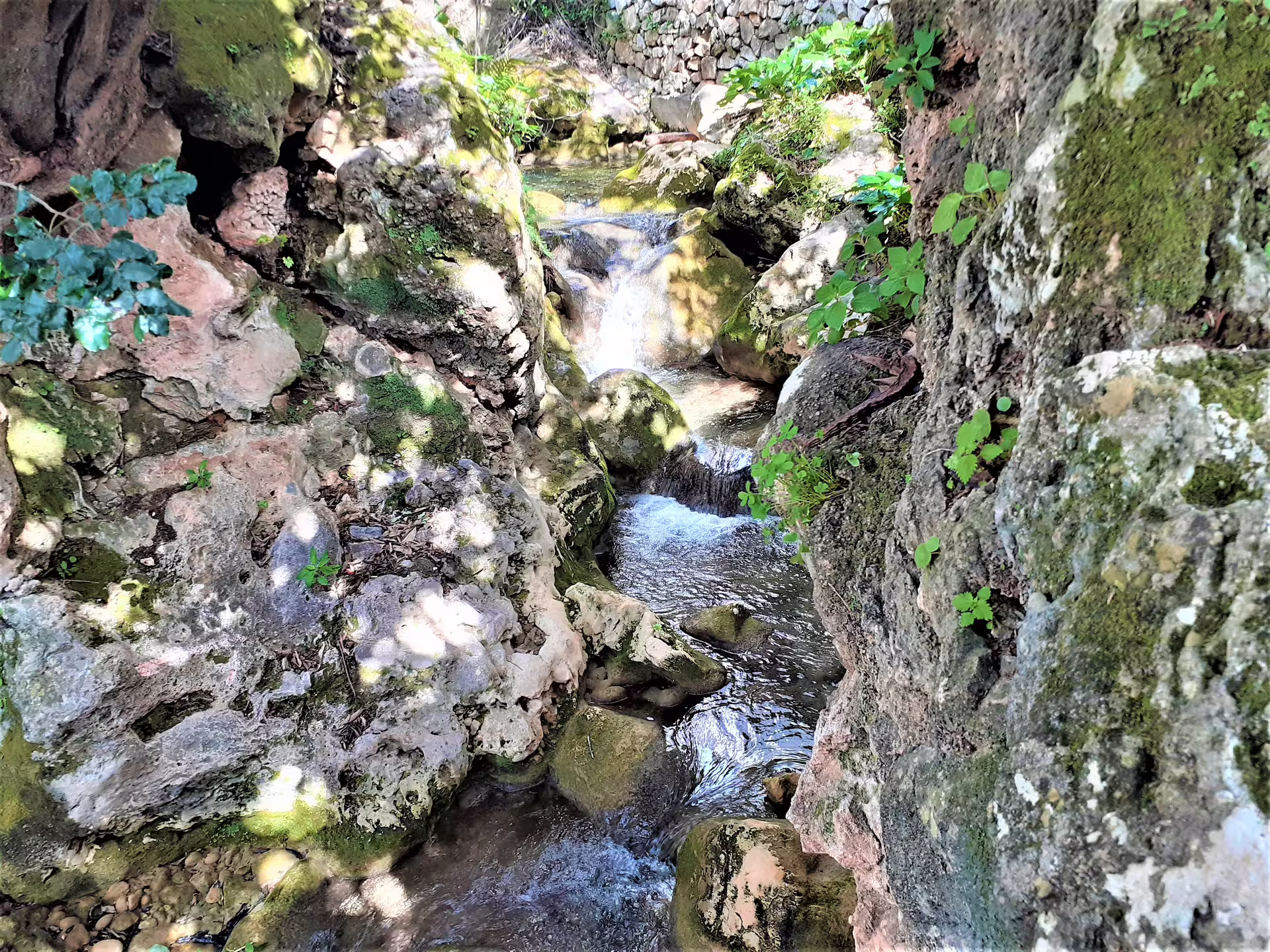 Small stream and mossy rocks in Ojen nature spot, stop on a private tour from Costa del Sol, Spain