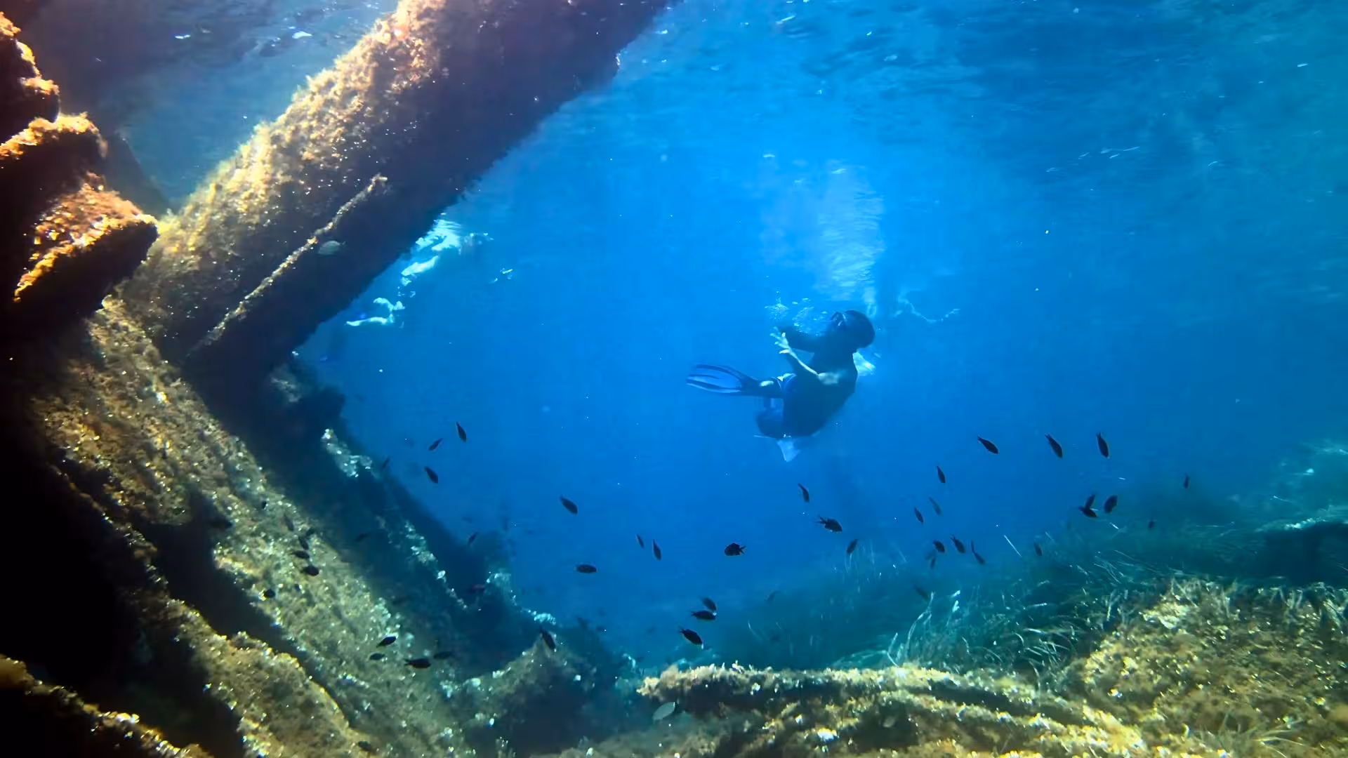 Snorkeler exploring an underwater shipwreck surrounded by fish near Tavolara, a highlight of Olbia's dinghy snorkeling tours.