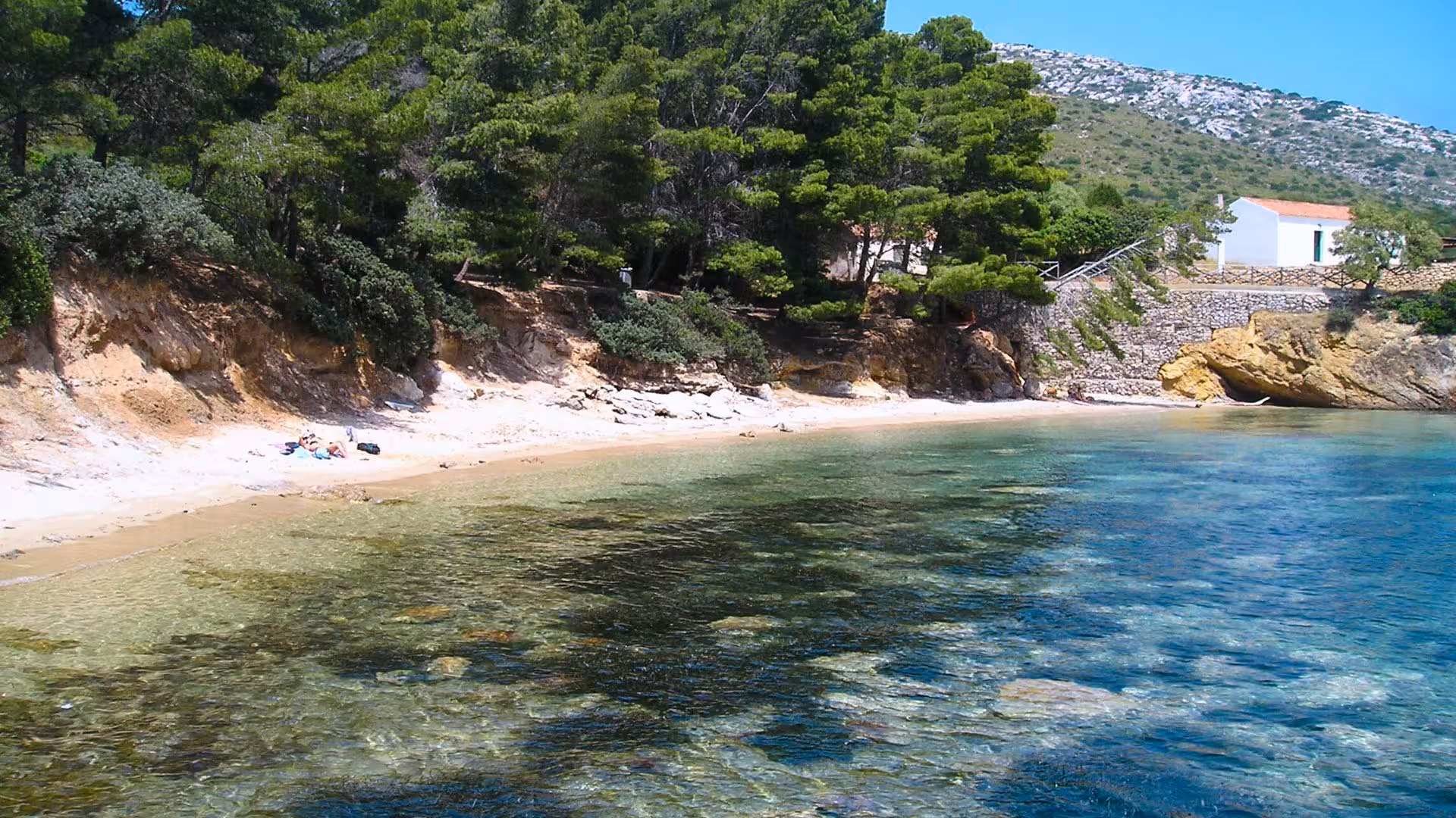 Scenic view of a secluded sandy beach surrounded by lush greenery on the Olbia dolphin watching RIB tour.