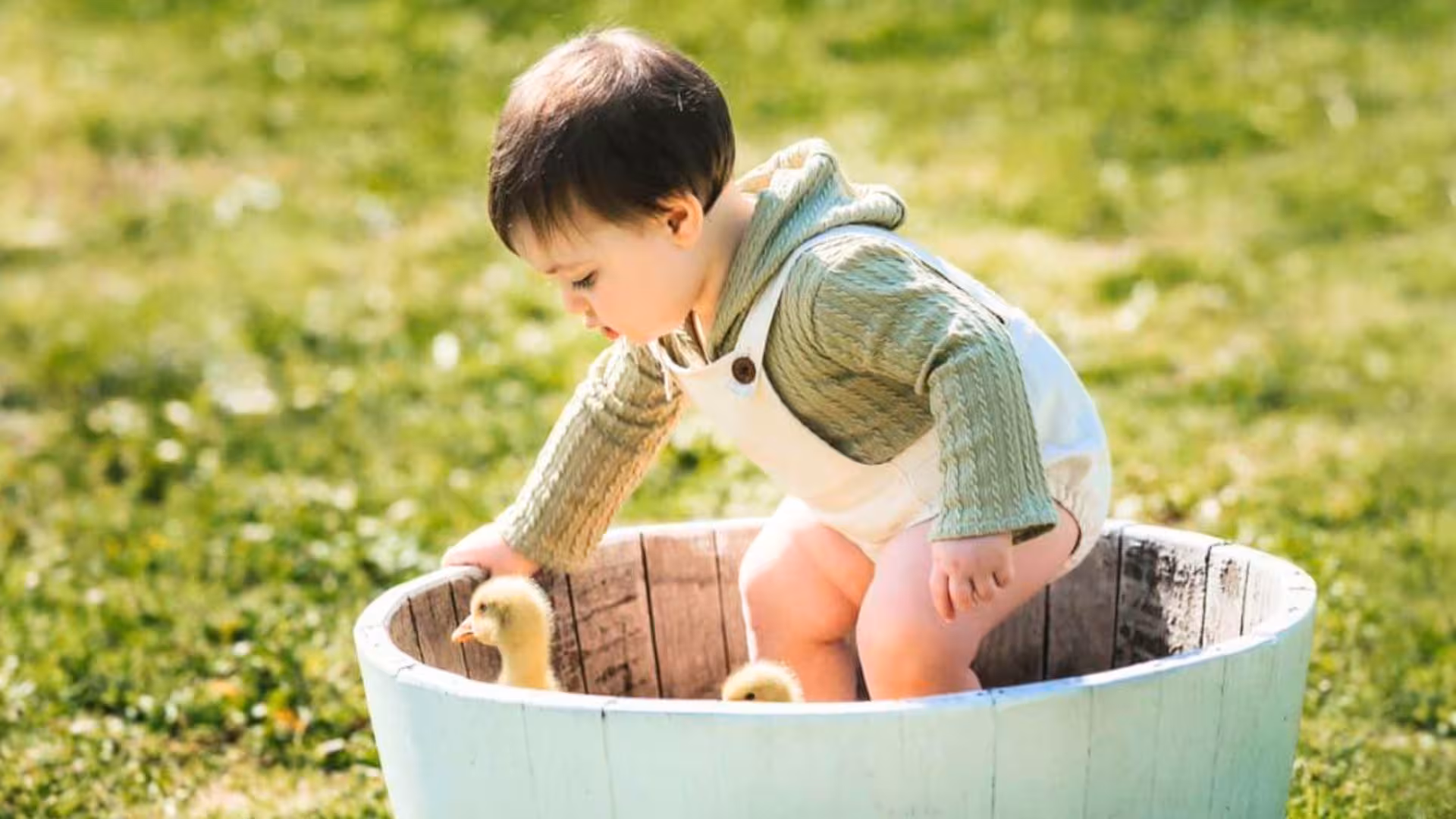 Child in a wooden tub with ducklings on a sunny Olbia farm picnic, enjoying interactive animal tour experience.