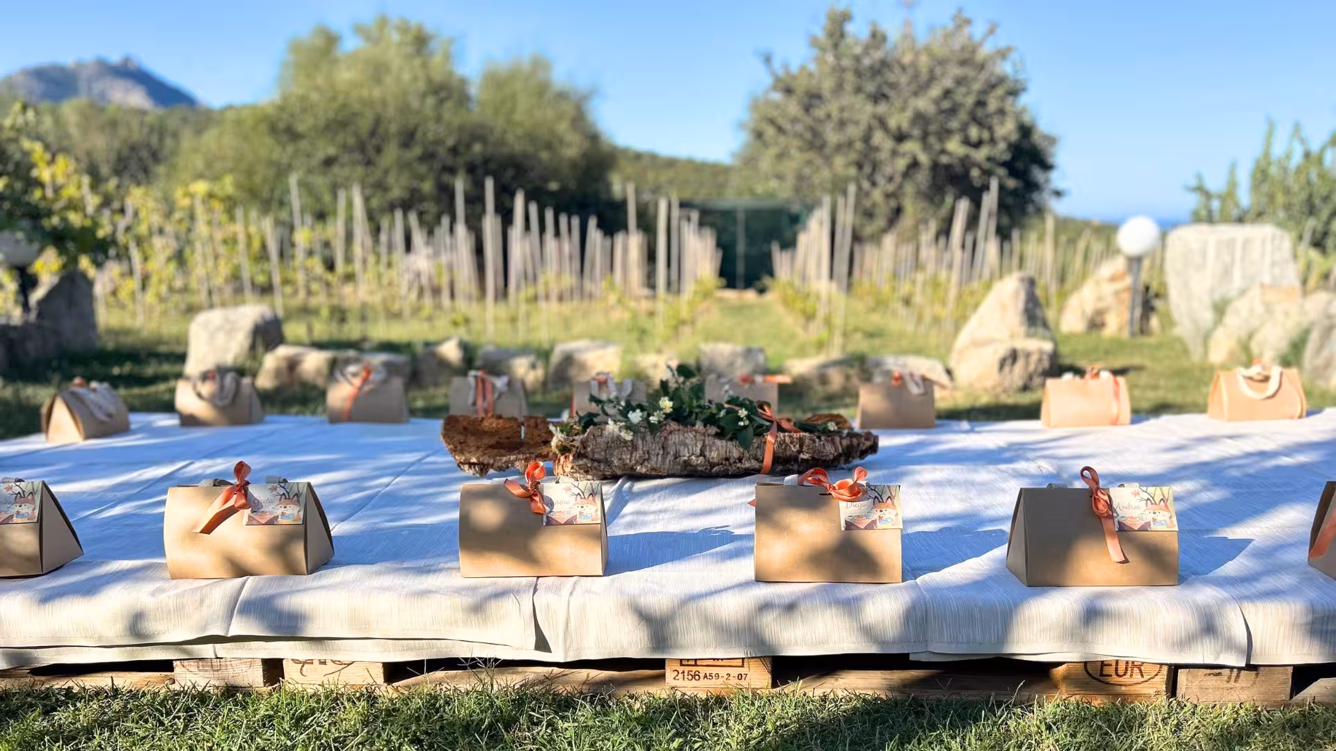 Rustic picnic setup with decorative boxes and flowers on a farm in Olbia, ideal for a scenic outdoor gathering.