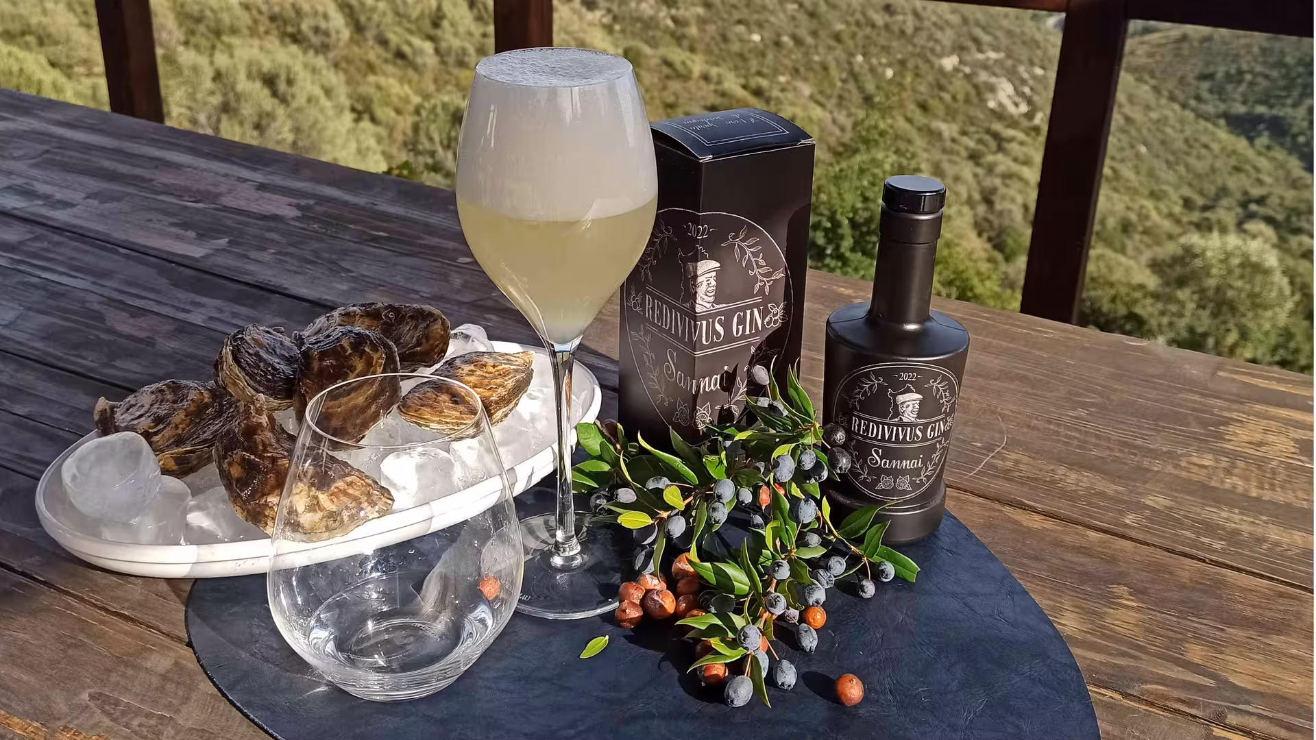 Gin tasting setup with oysters and fresh botanicals on a rustic table overlooking Olbia's scenic landscape.