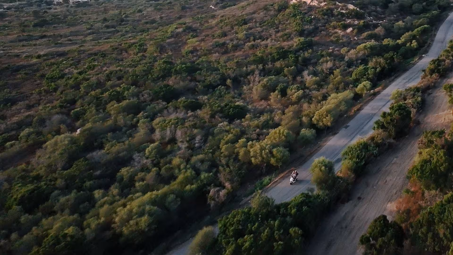 Aerial view of a scooter journeying through the lush landscapes of Olbia, offering a scenic and adventurous ride.