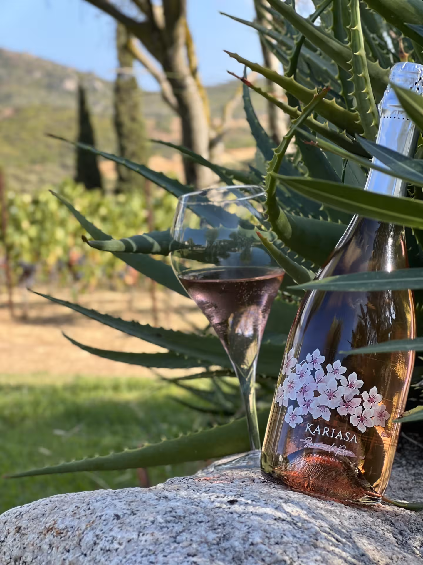 Bottle of sparkling wine and glass nestled in lush vineyard setting, perfect for an Olbia picnic experience.