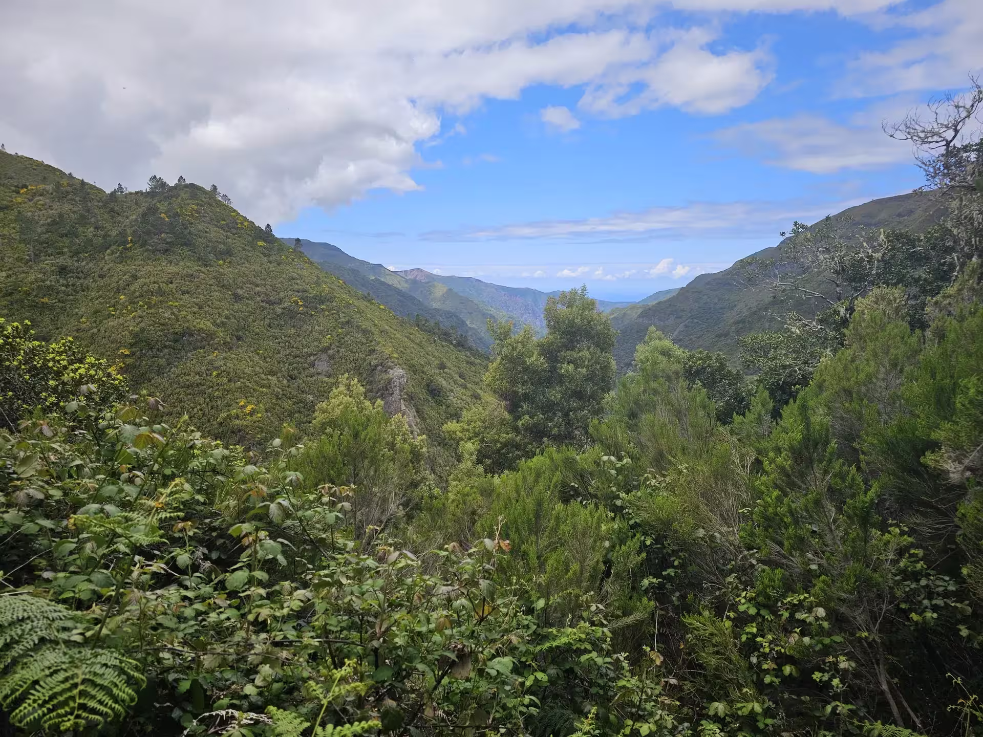 Breathtaking view of lush green valleys and distant mountains under a bright blue sky on The Old Levada's Hike.