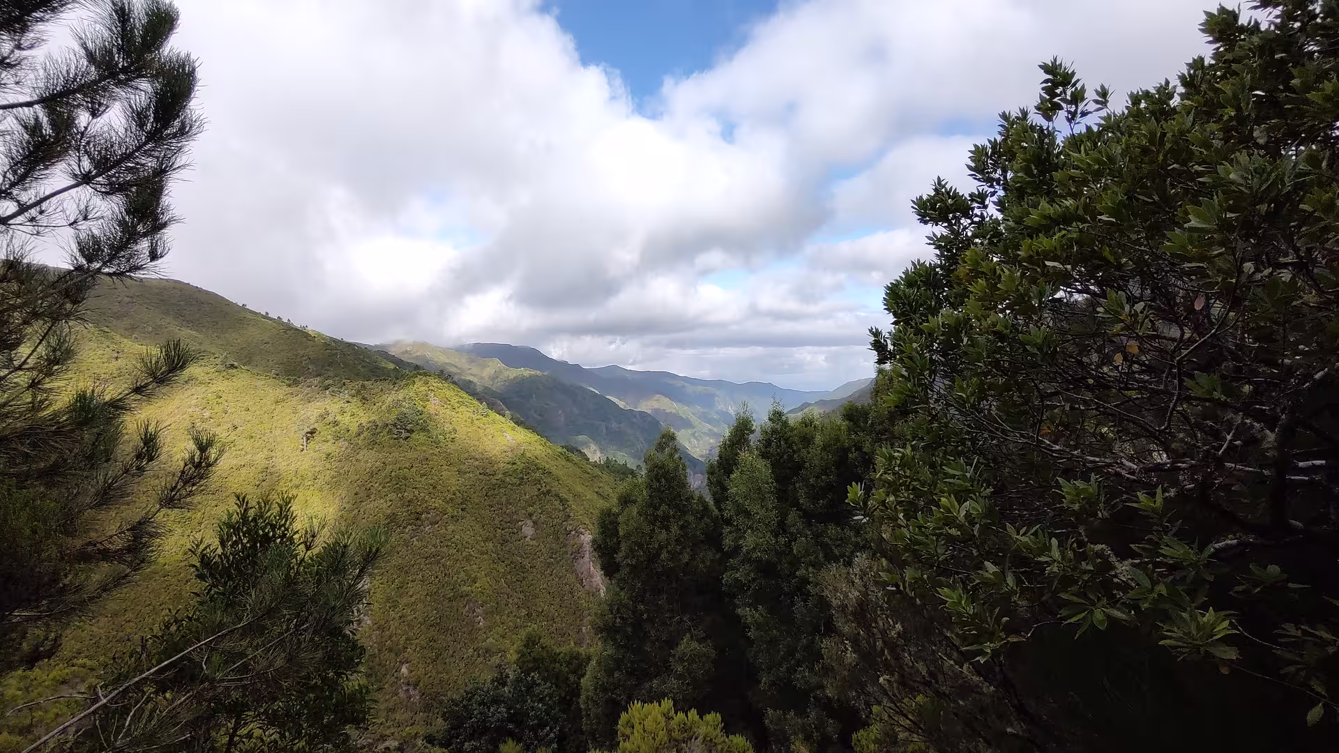 Expansive landscape of rolling hills and dense forests under dramatic clouds on The Old Levada's Hike.