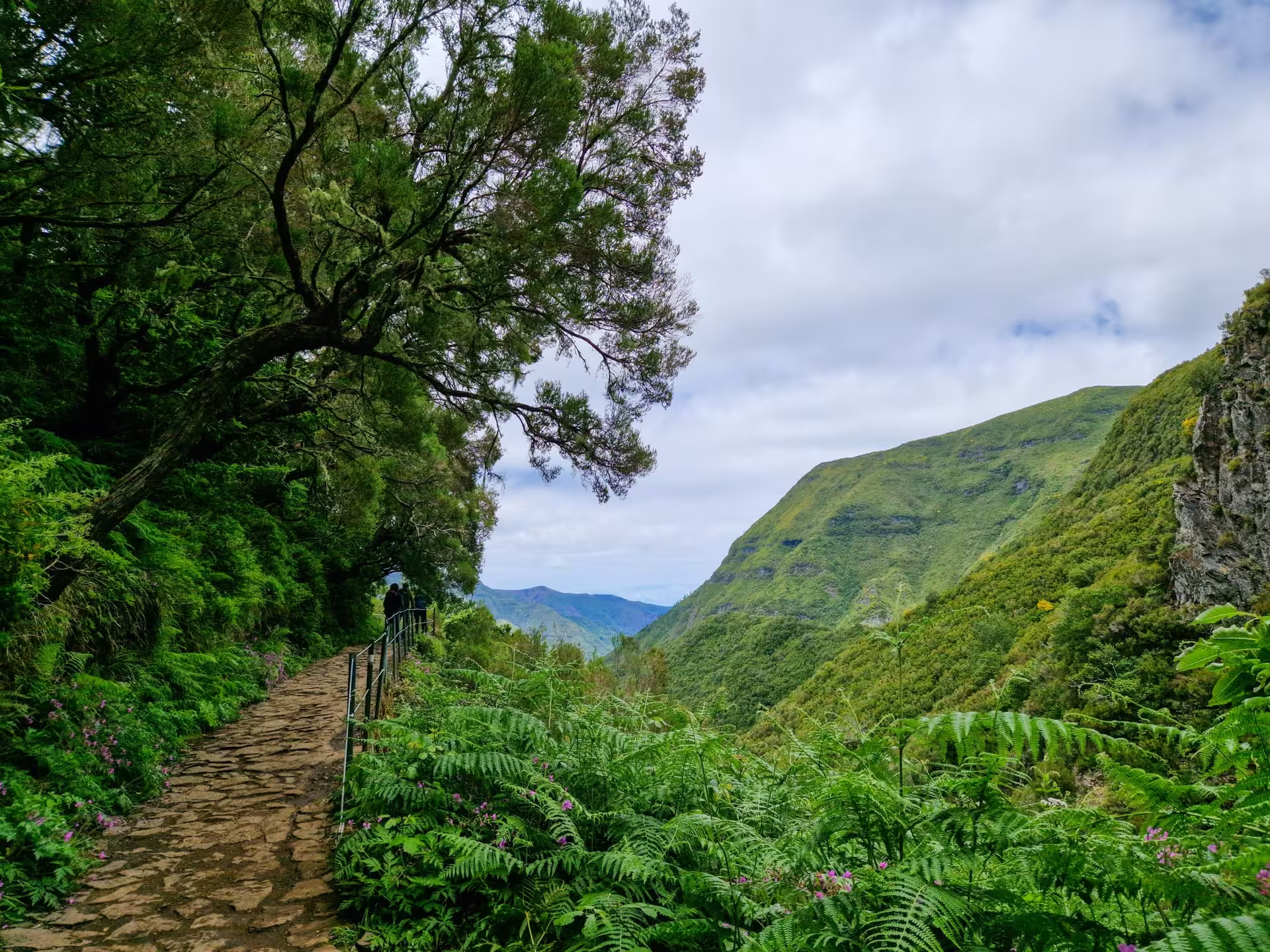Panoramic view from The Old Levada’s Hike with lush green valleys and a winding stone path under a cloudy sky.