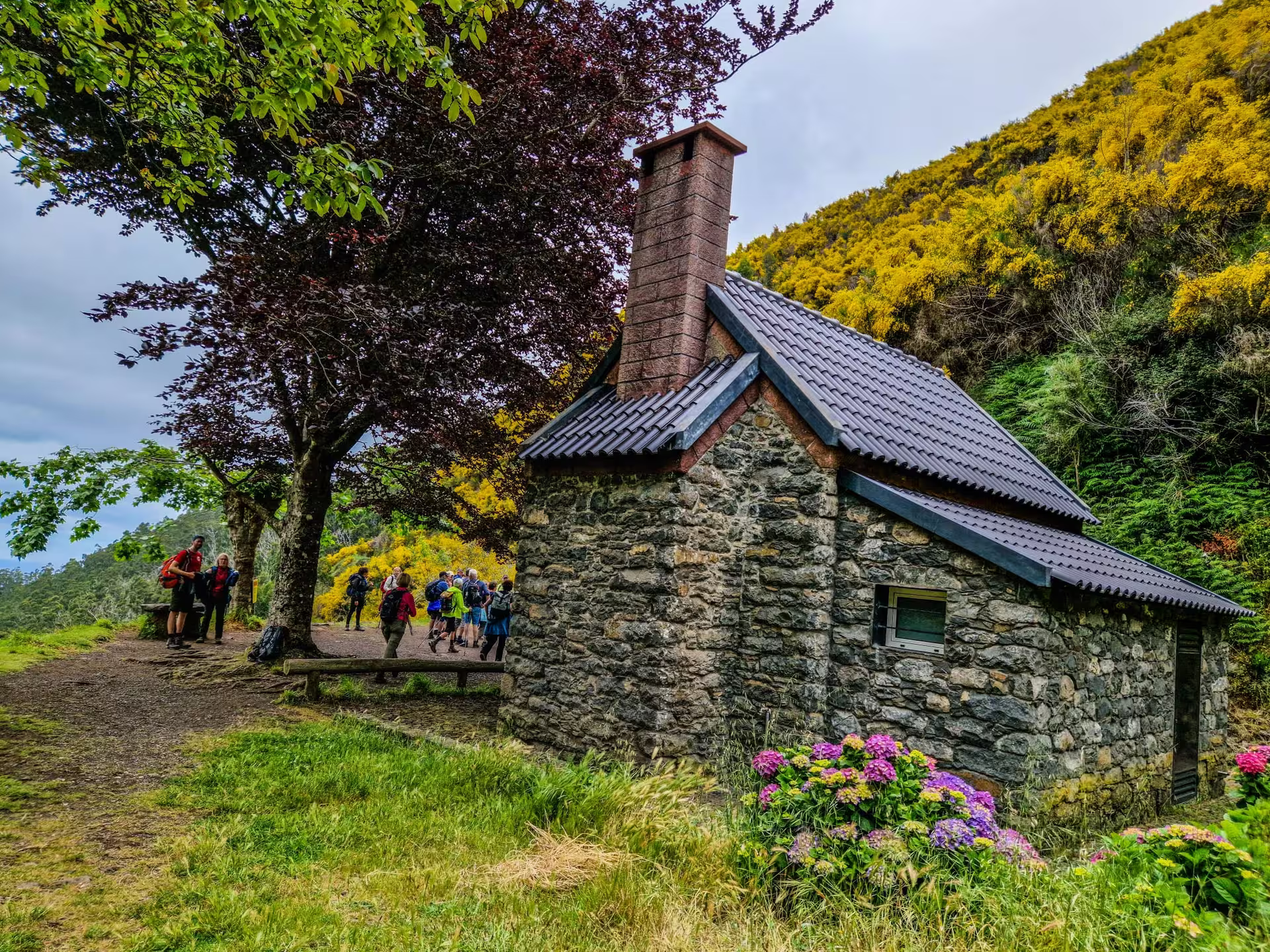 Hikers gather near a quaint stone cabin along The Old Levada’s Hike, set amidst vibrant trees and colorful flowers.