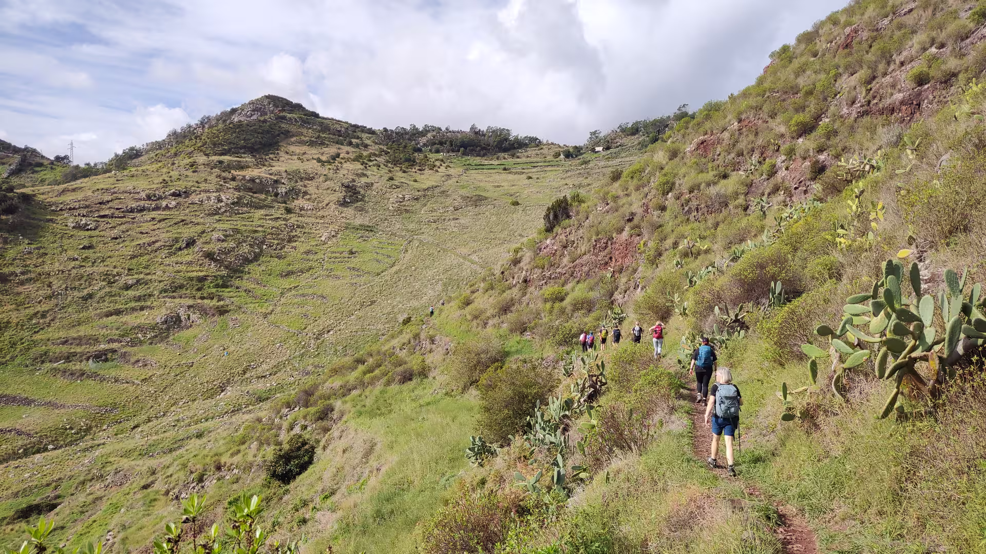 Hikers trekking through lush green hills and cacti on The Old Path's Hike scenic route.