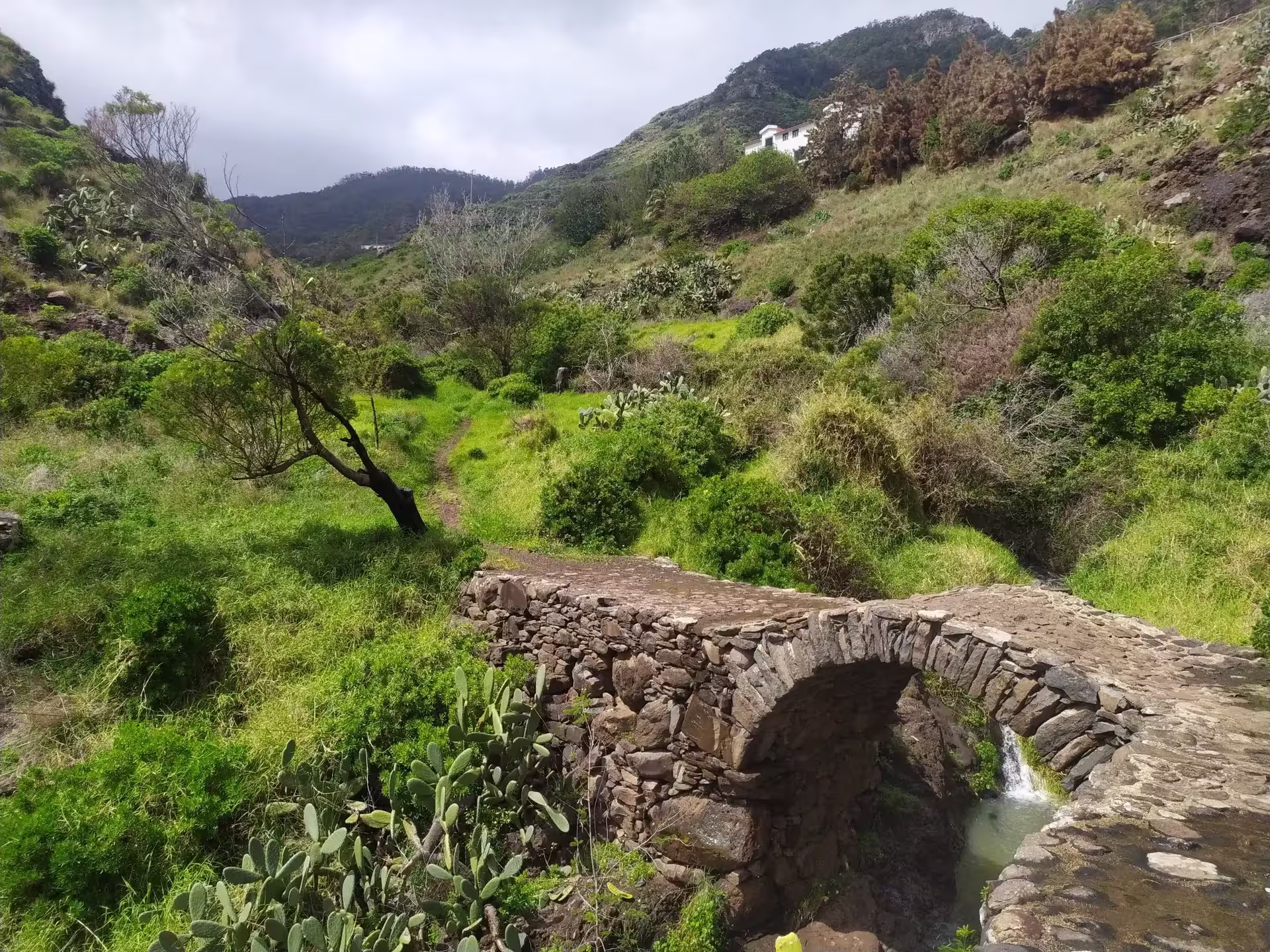 Scenic view of an ancient stone bridge surrounded by lush green hills on The Old Path's Hike trail.