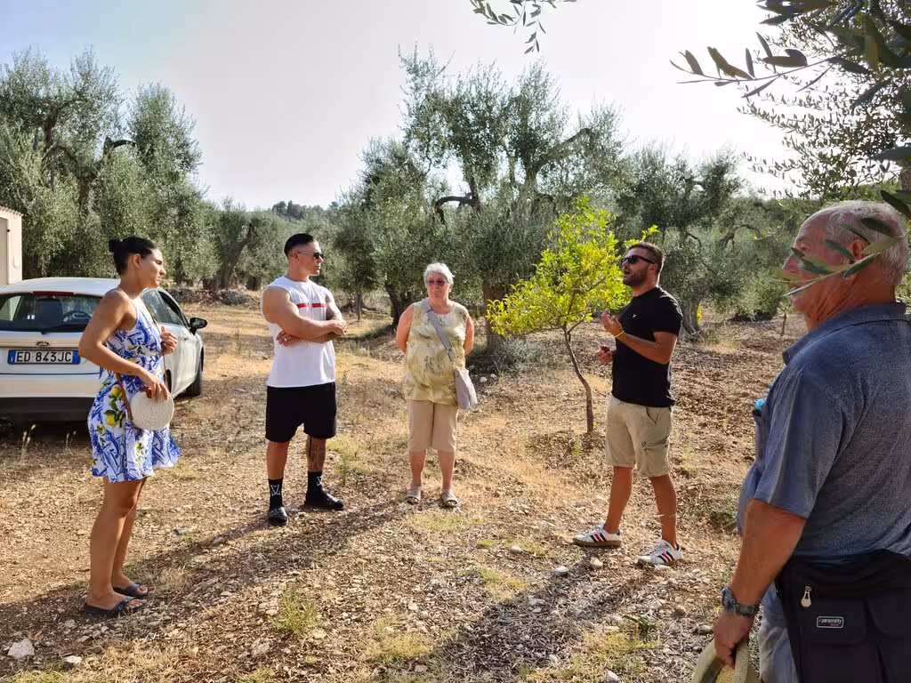 Tour group exploring an olive grove, learning about extra virgin olive oil production under the guidance of an expert.