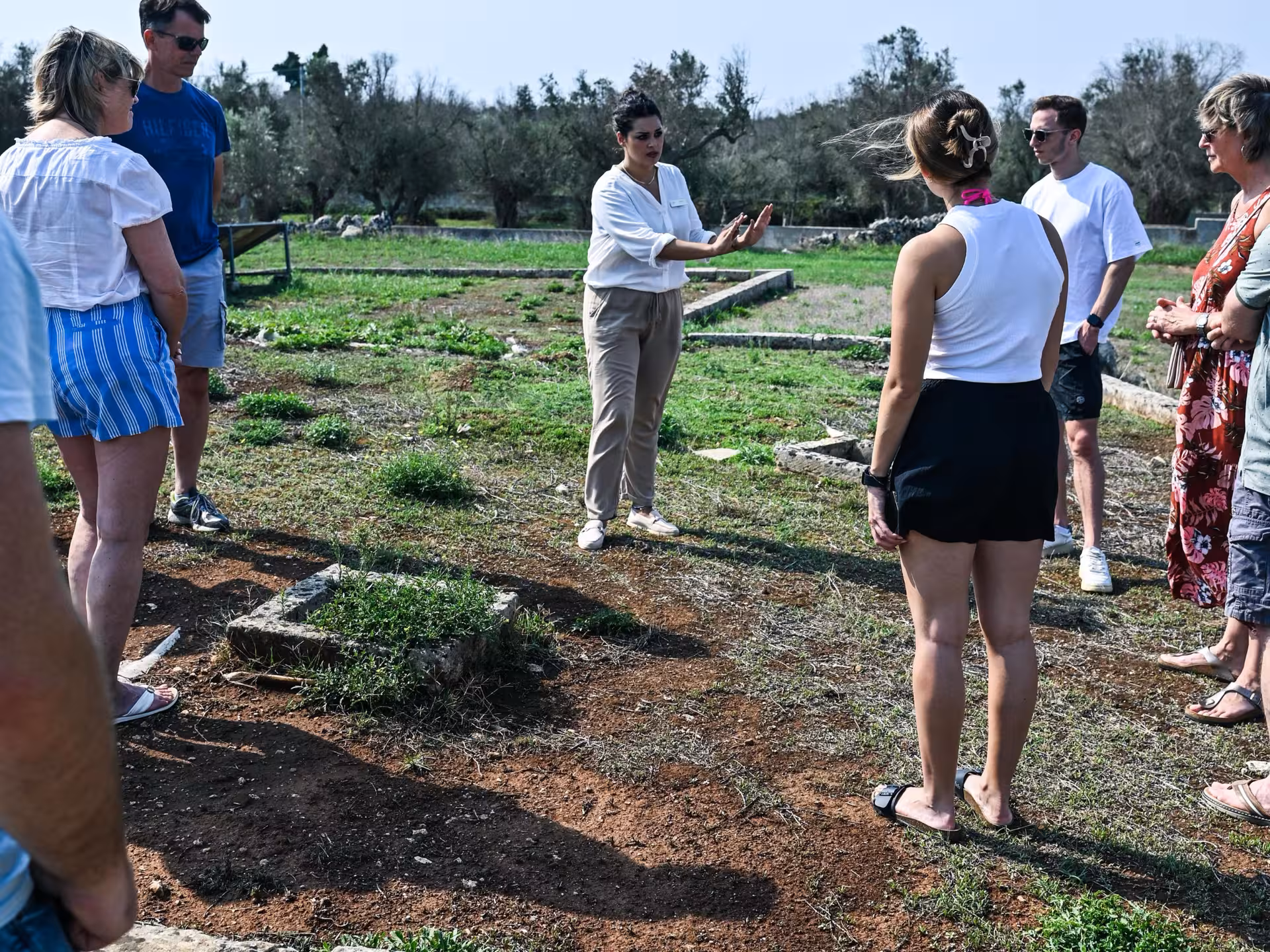Tour group listening to a guide explain olive cultivation techniques at an olive grove near Otranto.