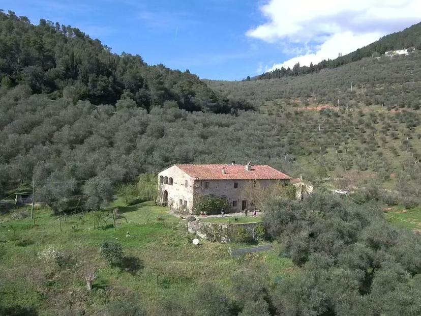 Scenic aerial view of an olive mill nestled in lush olive groves near Pisa, perfect for an immersive tour experience.