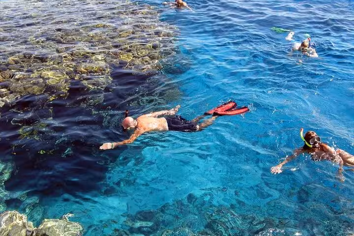 Snorkelers floating over Red Sea coral reef on Orange Bay Gifton Island snorkeling tour from Hurghada