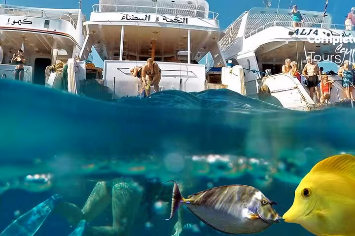 Snorkeling from Hurghada at Orange Bay Island, Red Sea fish below and boats above on VIP day trip