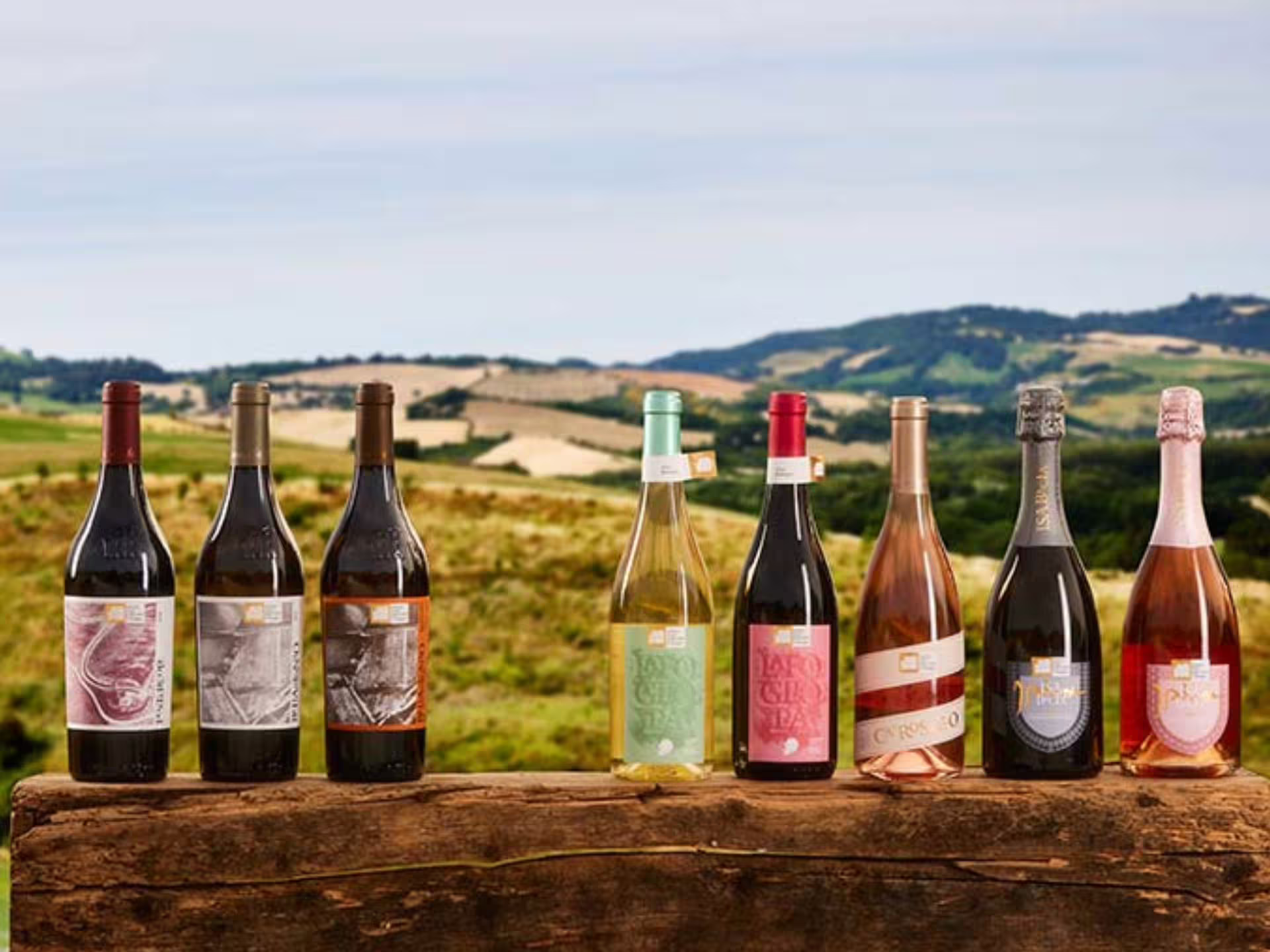 Organic wine bottles lined up with Marche hills backdrop for boutique winery visit and 5 tastings near Urbino