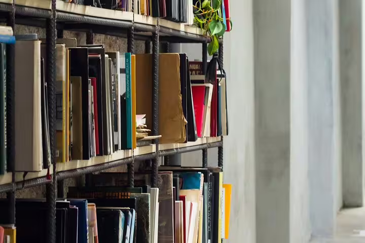 Books lined up on a rustic bookshelf with a potted plant, set against a minimalist background, ideal for a cozy reading nook.