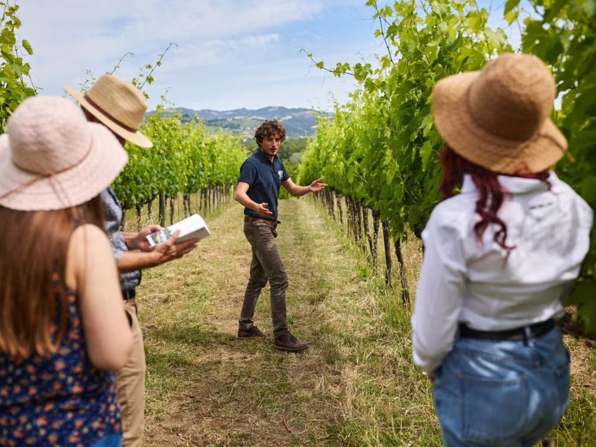 Winery guide leads guests through vineyard rows near Urbino, Marche, before boutique organic wine tastings