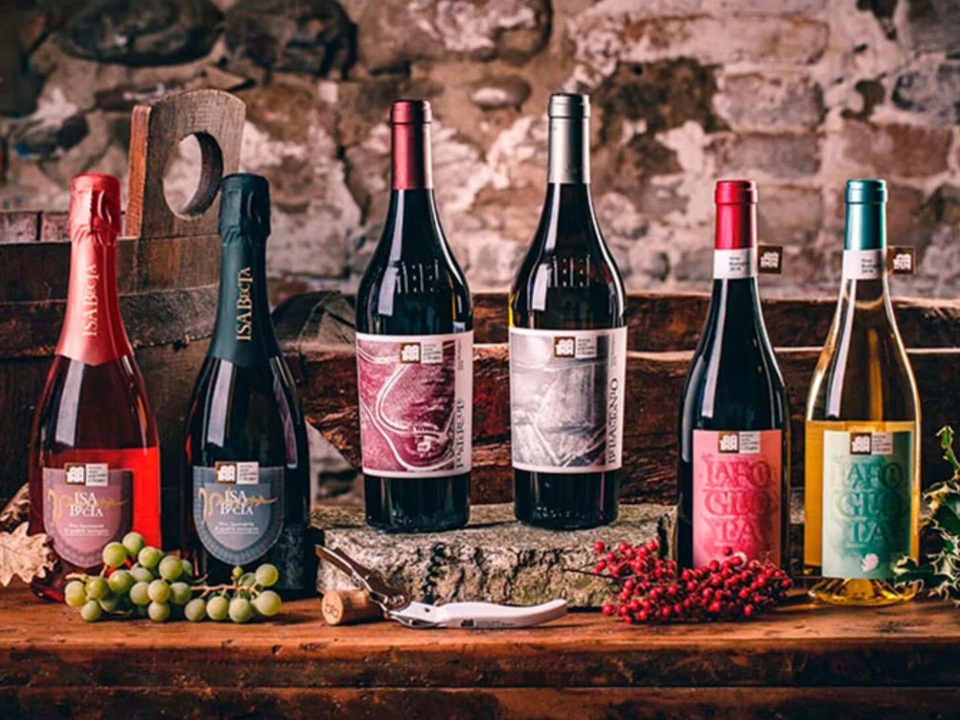 Five organic wines displayed in rustic cellar, boutique winery tasting experience near Urbino in Marche Italy