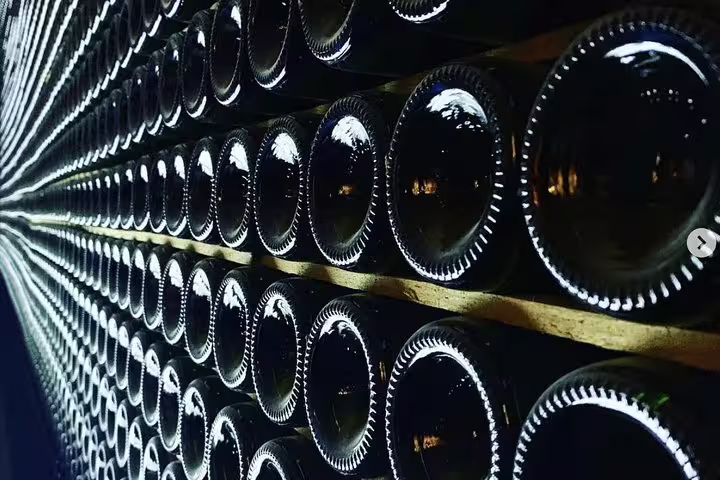 Rows of wine bottles in a dimly lit cellar at an organic winery, showcasing traditional aging methods.