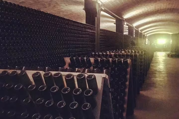 Dimly lit wine cellar with rows of bottles for aging, part of an exclusive organic winery tour experience.