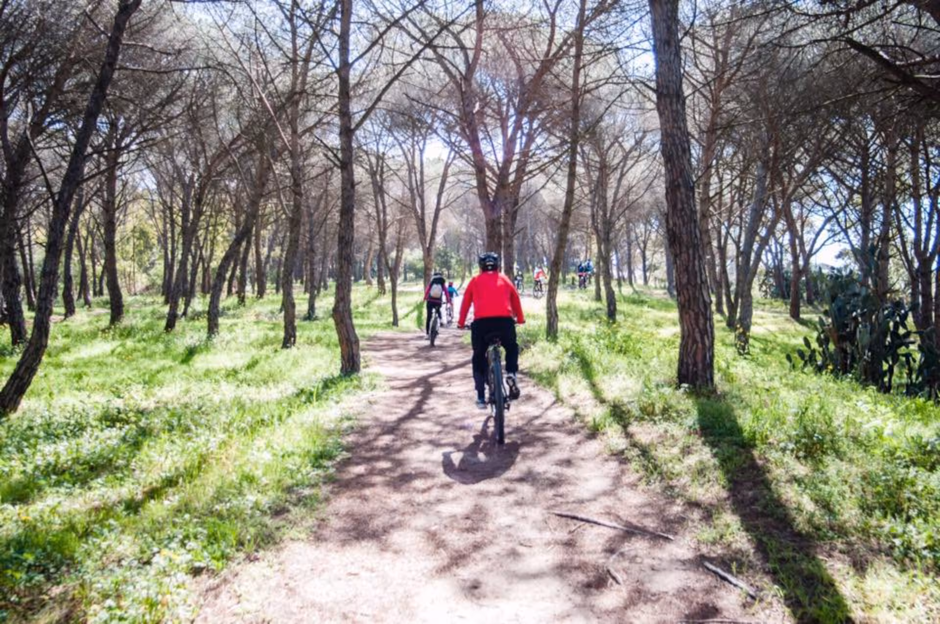 Cyclists riding through a serene wooded trail along Torregrande coast, experiencing Oristano's natural beauty.