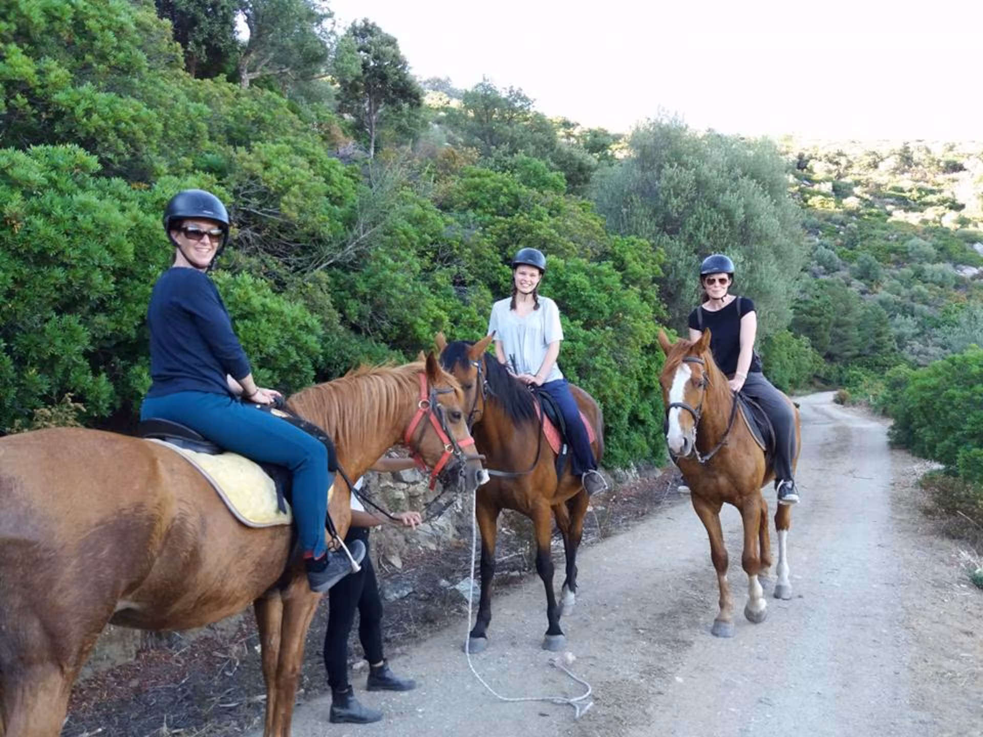 Riders enjoying a scenic horse trail in Orosei with lush greenery and a clear path.