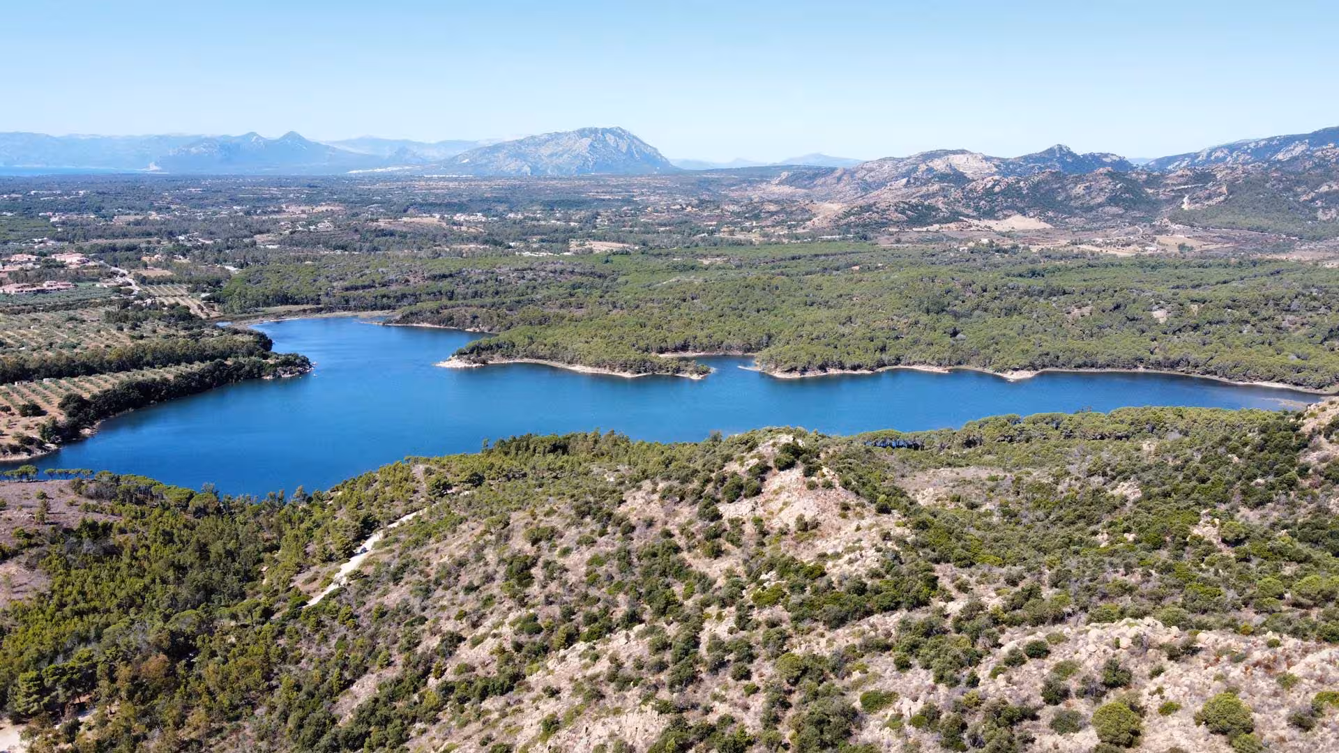 Scenic view of Biderosa's lush forest surrounding a serene lake with mountains in the background, typical of Sardinia's natural beauty.