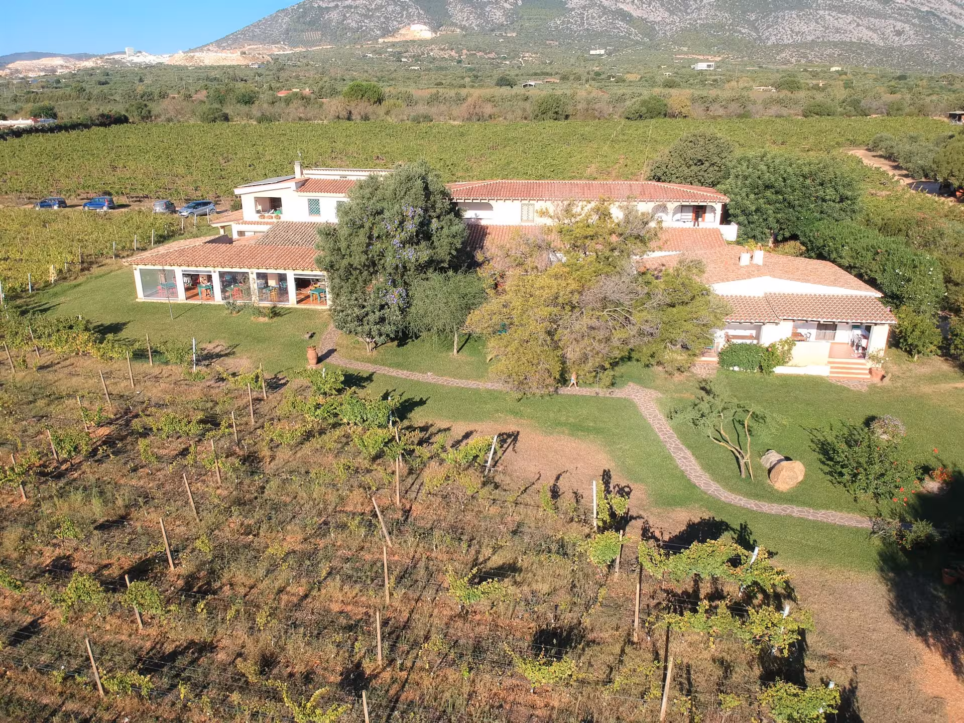 Aerial view of rustic villa surrounded by lush vineyards in Orosei, ideal for exploring Sardinian gastronomy and history.