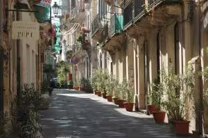 Quiet Ortigia lane in Siracusa with baroque balconies and potted plants on a guided walking tour