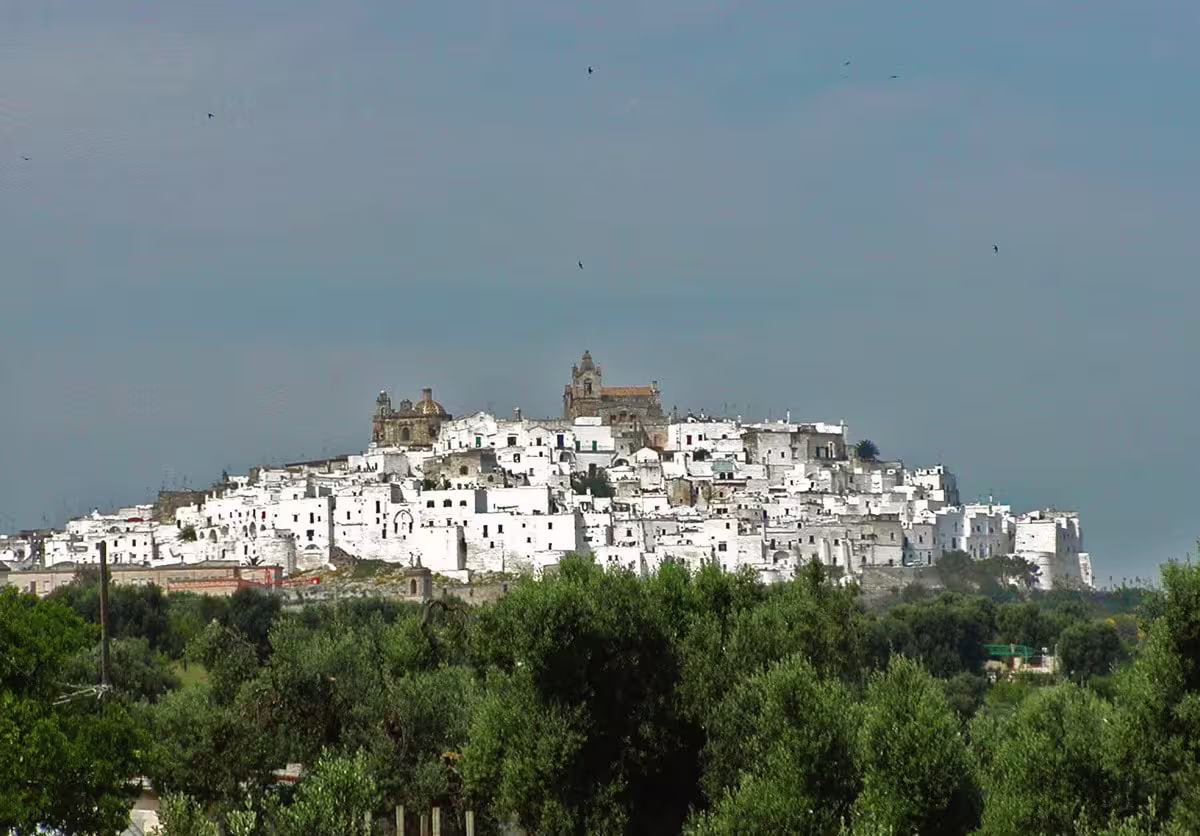 Whitewashed hilltop town of Ostuni surrounded by olive groves on the Enchanting Puglia self drive tour in southern Italy
