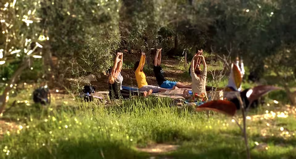 Small group practicing outdoor yoga under olive trees in Pollino Park, relaxing retreat in nature with naturotherapy focus