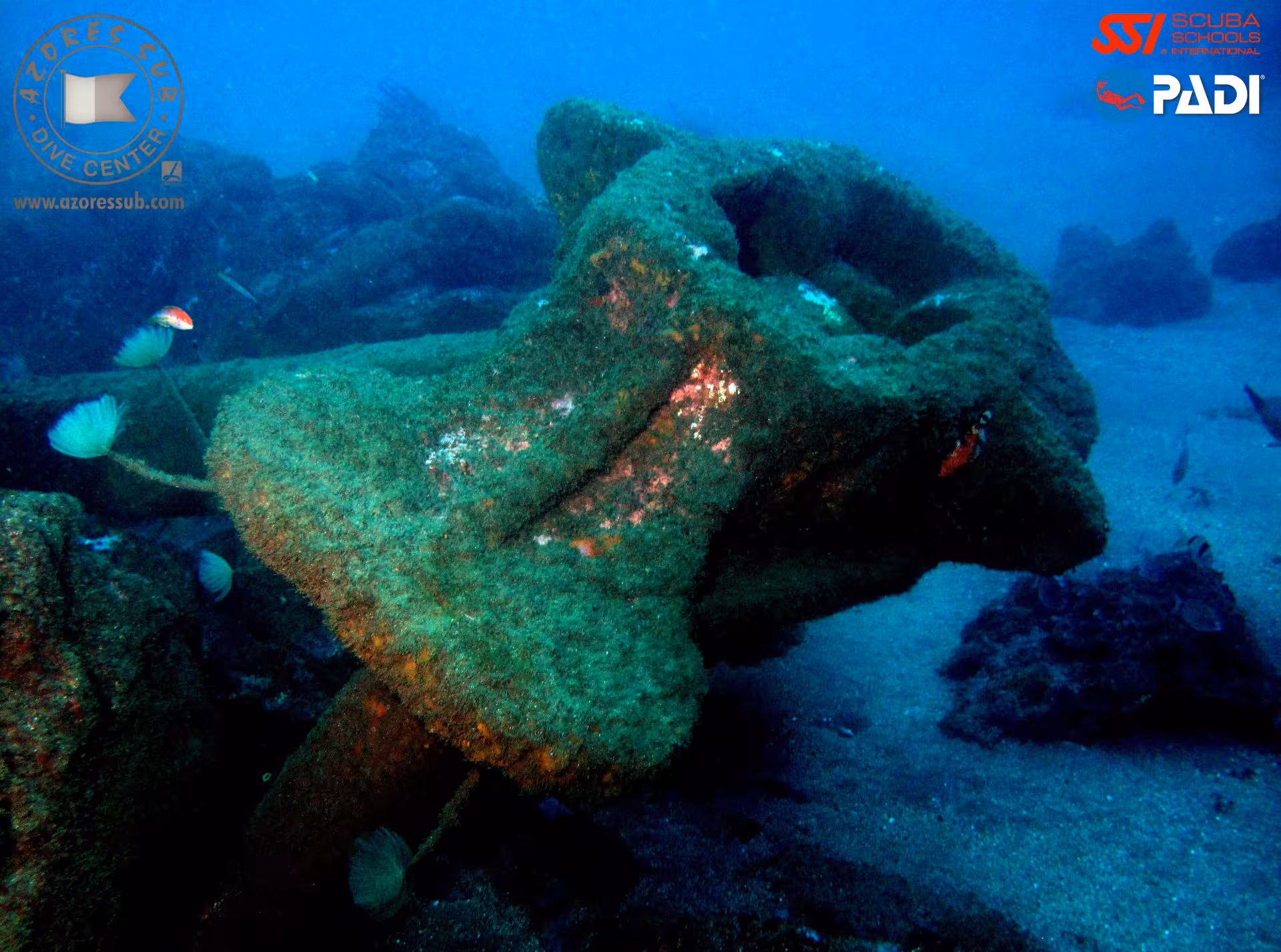 PADI Advanced Open Water dive exploring an Azores shipwreck propeller with reef fish in clear blue water