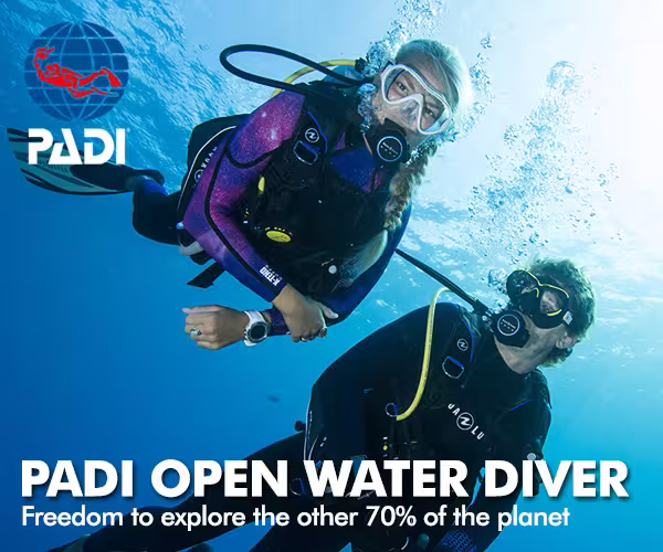 Two scuba divers explore underwater in vibrant gear, promoting the PADI Open Water Course for adventure and marine discovery.