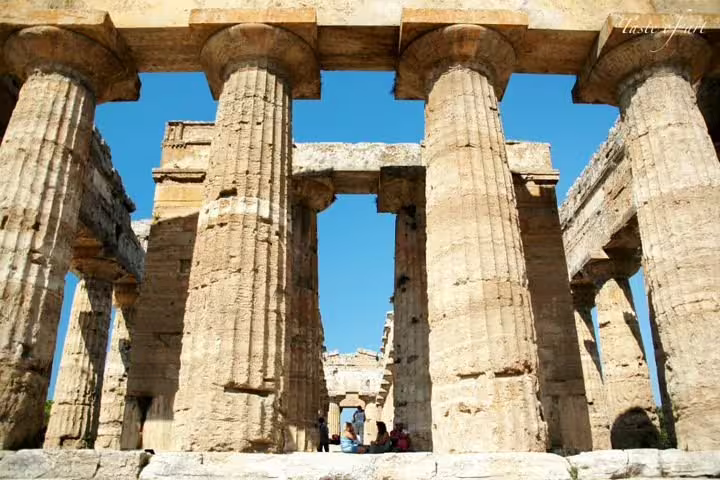 Massive Doric columns of an ancient Greek temple in Paestum under clear blue sky on a guided private ruins tour in Italy