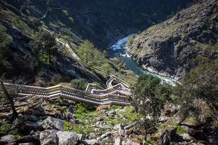 Stunning aerial view of the Paiva Walkways, showcasing a zigzag path along a lush green riverside landscape.