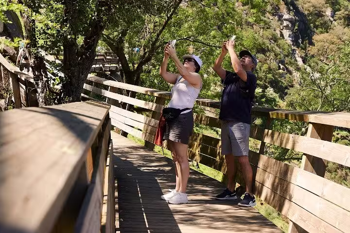 Tourists capture scenic views along the scenic Paiva Walkways surrounded by lush greenery and wooden paths.