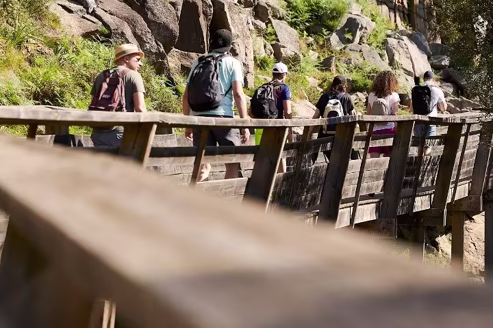 Hikers enjoying a scenic walk along the wooden pathways of Paiva Walkways amidst lush green surroundings.