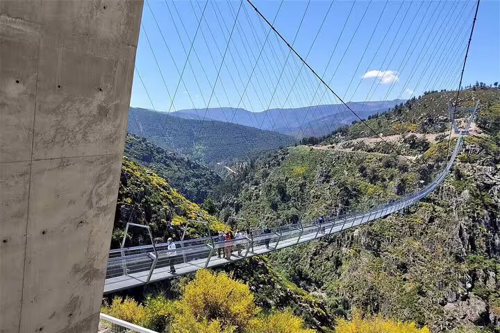 Suspension bridge over lush valley on Paiva Walkways tour from Porto, showcasing stunning natural landscapes and adventure.