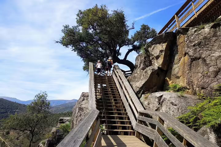 Visitors enjoying a scenic hike on the wooden trails of Paiva Walkways, surrounded by lush greenery and rocky landscapes.