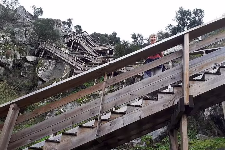 A hiker ascends the scenic wooden stairs of the Paiva Walkways, surrounded by lush greenery and rocky cliffs.