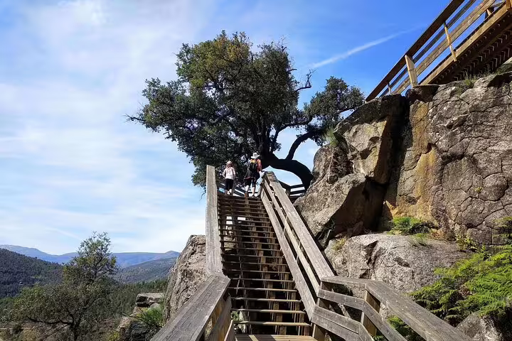 Visitors exploring scenic wooden stairs amid lush landscapes on the Paiva Walkways, part of the Arouca Geopark adventure tour.