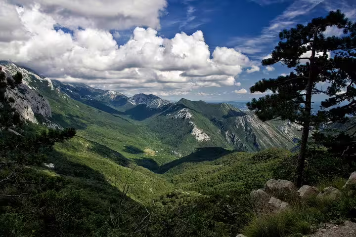 Wide valley and rugged peaks in Paklenica National Park, Croatia, with pine tree viewpoint on trail