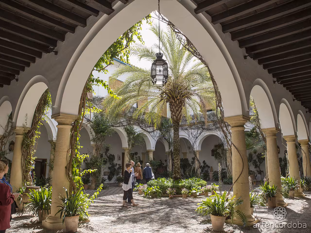 Palacio de Viana courtyard in Córdoba with arches, palm tree and lantern, highlight of Misterios Locales tour