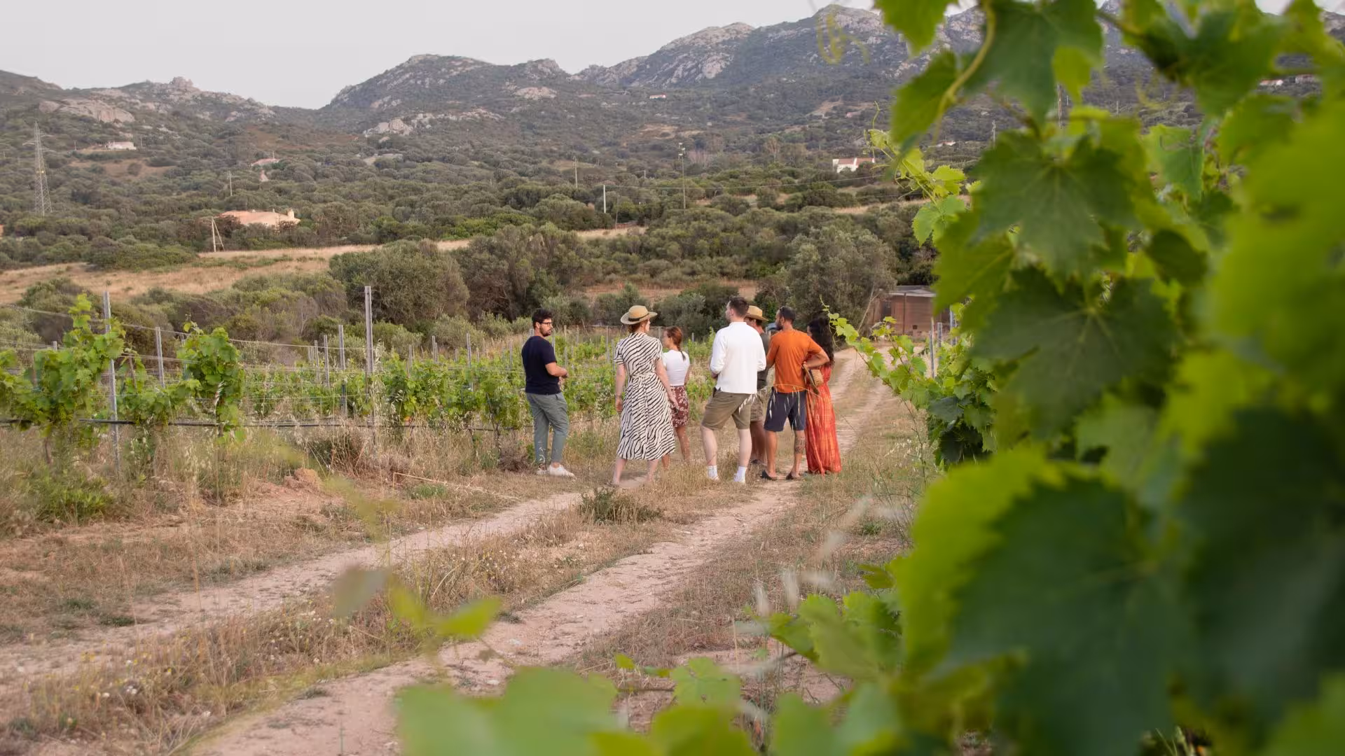 Group enjoying a scenic vineyard tour at a picturesque Gallura winery in Palau.
