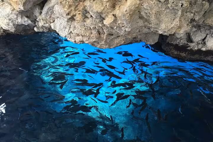 Turquoise cave waters with fish near Paleokastritsa, a highlight on a Corfu private day tour